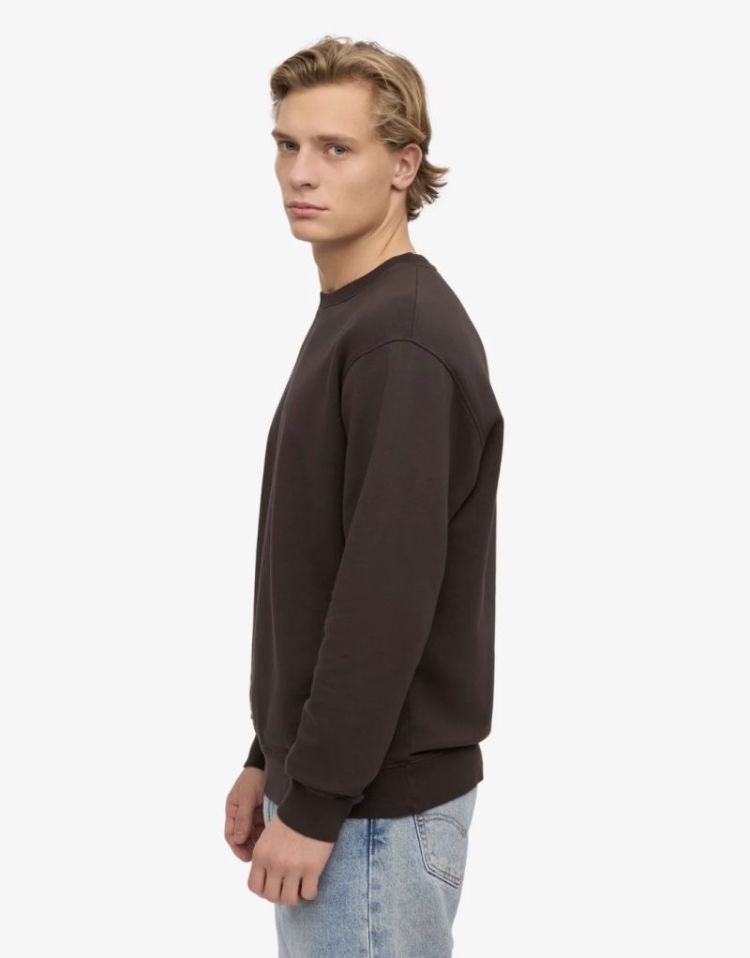 Classic Crew Coffee Brown